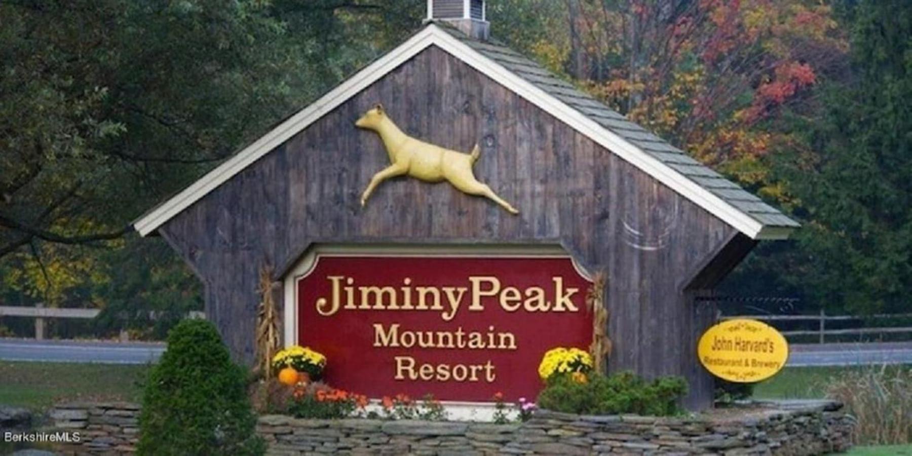 Gorgeous 1St Fl Mtn View Jiminy Suite Sleeps 4 Ski On Off Ханкок Экстерьер фото
